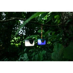 UCO Sprout -Campinga Boutique uco sprout 5