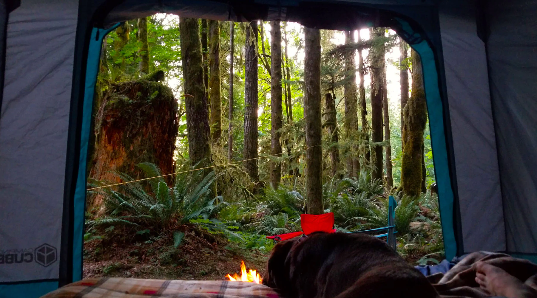 Campinga Boutique -Campinga Boutique Pet camping